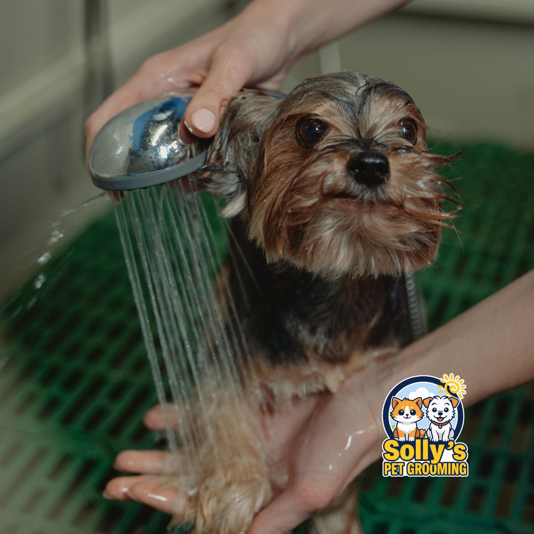 Complete Bath Service