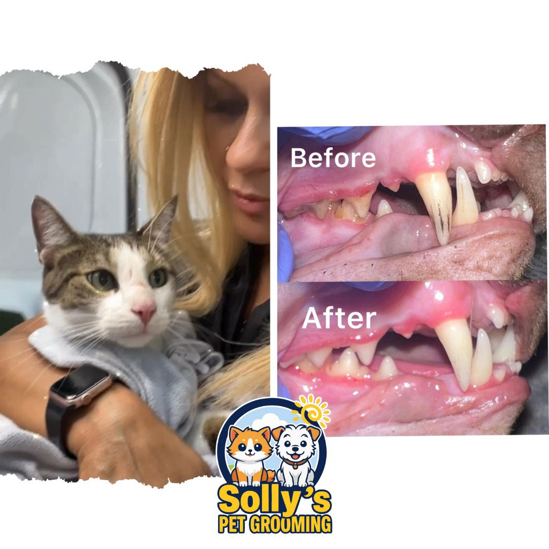 Before and after dental cleaning 12