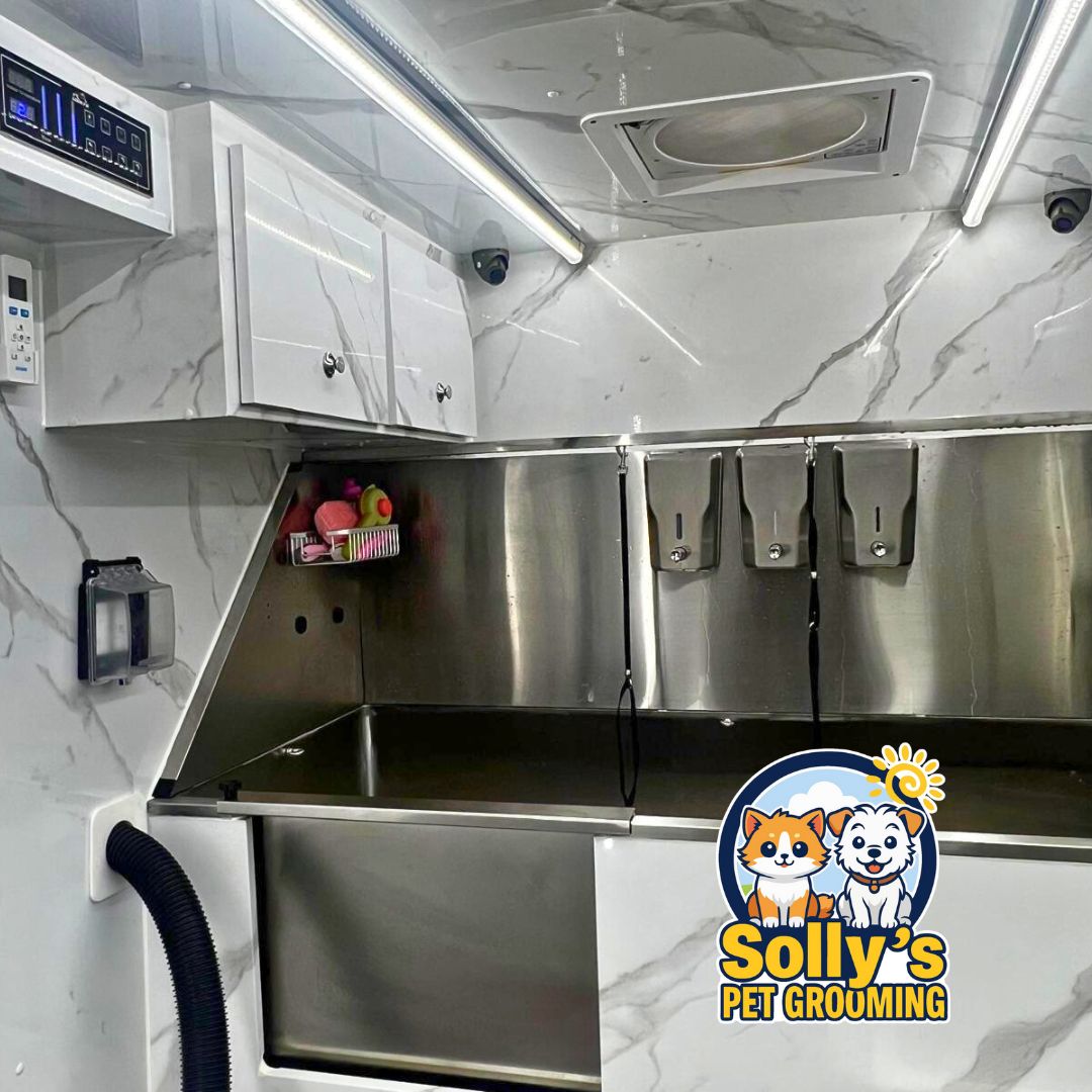 Solly's Grooming Van - View 4